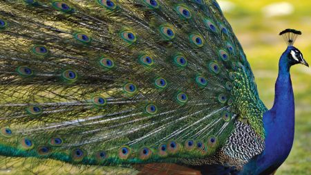 Science Square (Issue 166)